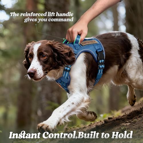rabbitgoo Tactical Dog Harness Medium Sized, No Pull Service Pet Vest - color: Blue, size: M(chest:20.1"-33.9",neck:17.7"-22.3",back:7.5")