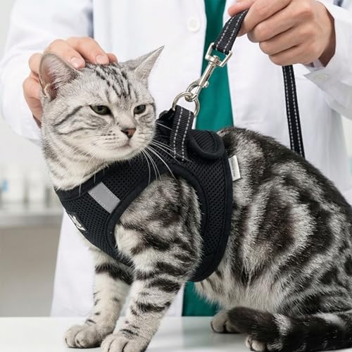 Heywean Cat Harness and Leash Escape Proof, Soft Breathable Mesh Kitty Walking Vest, Adjustable Step-in Kitten Harness Set with Reflective Strip for Small Cats - color: Black, size: Large