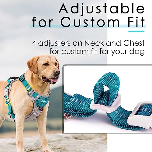 ThinkPet No Pull Harness for Small Medium Large Dogs, Reflective Padded Vest with Handle, Adjustable Star Style - color: Bright Teal, size: XL(Chest:24"-33")