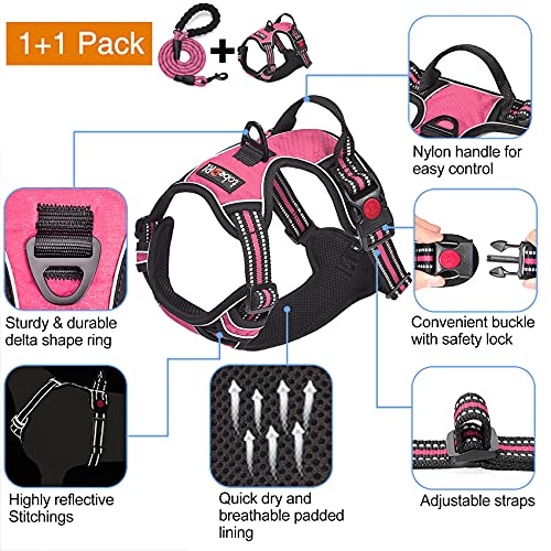 tobeDRI No Pull Dog Harness Adjustable Reflective Oxford Easy Control Medium Large Dog Harness with A Free Heavy Duty 5ft Dog Leash, Pink, S - color: Pink, size: Small