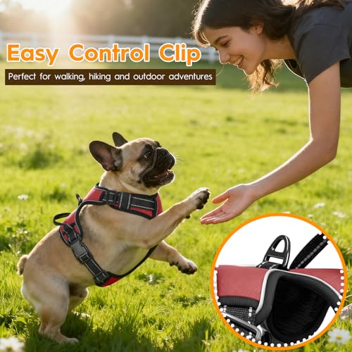 No Pull Dog Harness, No-Choke Soft Padded Reflective Dog Vest Harness with Front Clip & Top Handle, 2 Quick-Release Buckles, Adjustable for Small Medium Large Dogs - color: Antique Rose, size: X-Small