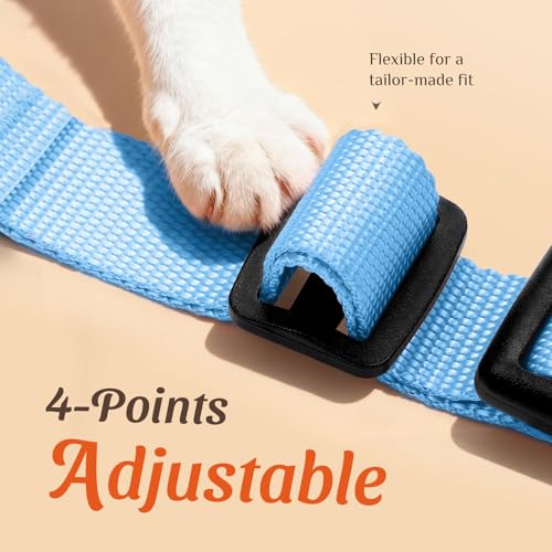 Dooradar Cat Harness and Leash Set, Adjustable and Escape Proof, XXS - color: Aqua Sea, size: Xxs