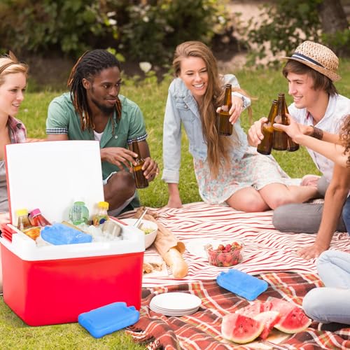 balacoo 4 Pcs Ice Packs for Lunch Boxes: Reusable Slim Coolers Ice Packs