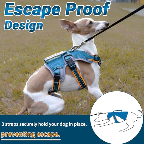 Escape Proof Dog Harness, No Escape No Pull Reflective Dog Harness with Durable Handle, Adjustable Heavy Duty Vest for Small Medium Large Dogs, Walking and Training (Blue,L) - color: Blue, size: L (Pack of 1)