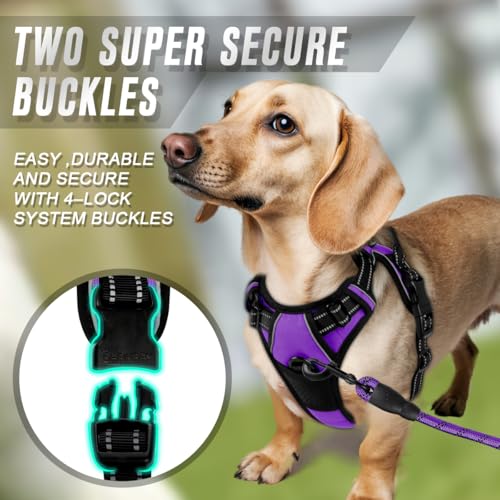 BARKBAY Dog Harness No Pull for Small Sized Dog Front Back Clips,Dog Vest - color: Purple, size: X-Small(Chest:15.5-19.5”)