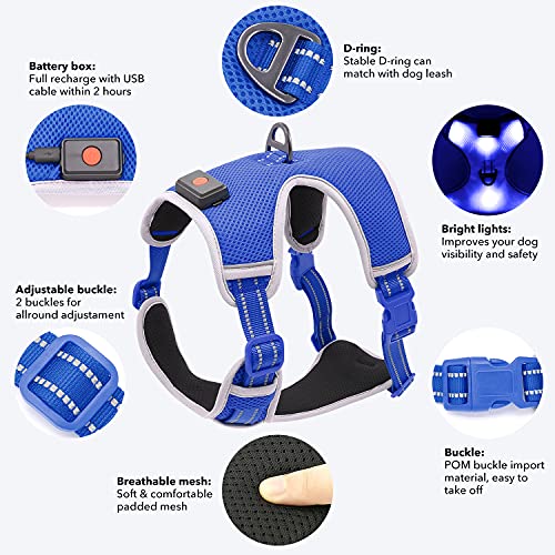 YFbrite Light Up Dog Harness - USB Rechargeable LED, Reflective, Comfortable Adjustable With Different Sizes (Blue, Small)