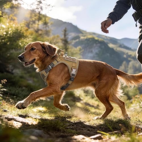 rabbitgoo Tactical Dog Harness for Small Dogs, No Pull Service Pet Vest - color: Brown, size: S(Chest:16.1"-31.5",Neck:15.4"-21.6",Back:7.1")
