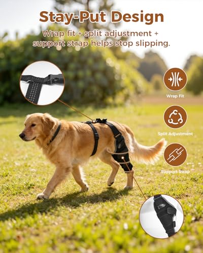 Dog Knee Brace for ACL/CCL with Hot & Cold Gel Pack, Left Leg-M - size: M