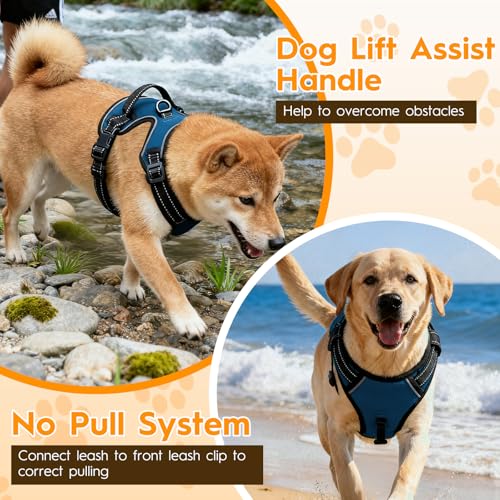 No Pull Dog Harness, No-Choke Soft Padded Reflective Dog Vest Harness with Front Clip & Top Handle, 2 Quick-Release Buckles, Adjustable for Small Medium Large Dogs - color: Blue, size: X-Small