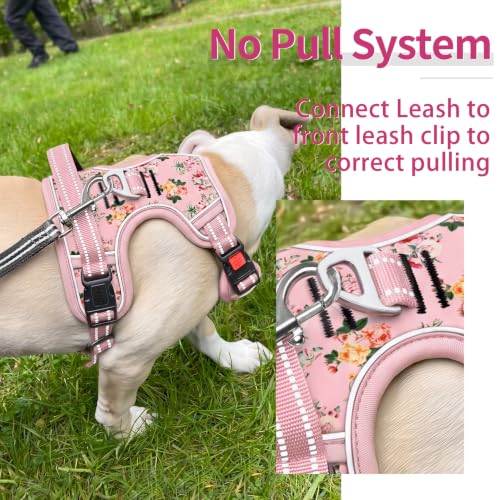 HEELE Dog Harness, Quick Release 3 Buckles, Easy On & Off, Flower Pink, S - color: Flower Pink, size: S (Pack of 1)