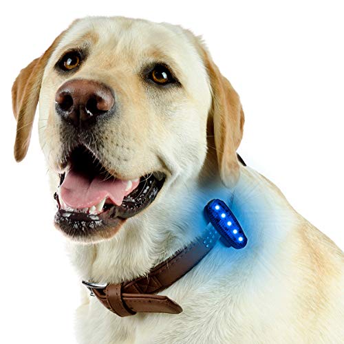 USB-C Rechargeable LED Safety Lights (2 Pack) - Clip on Strobe Running Lights for Runners, Joggers,Walkers,Kids,Dogs,Bike Tail Lights - High Visibility Accessories for Reflective Gear - color: Blue