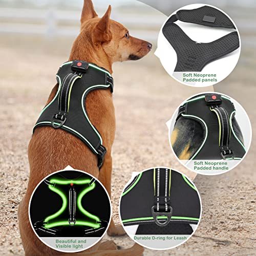 Light Up Dog Harness, Rechargeable LED Dog Vest for Night Walking - color: Black-Green, size: L