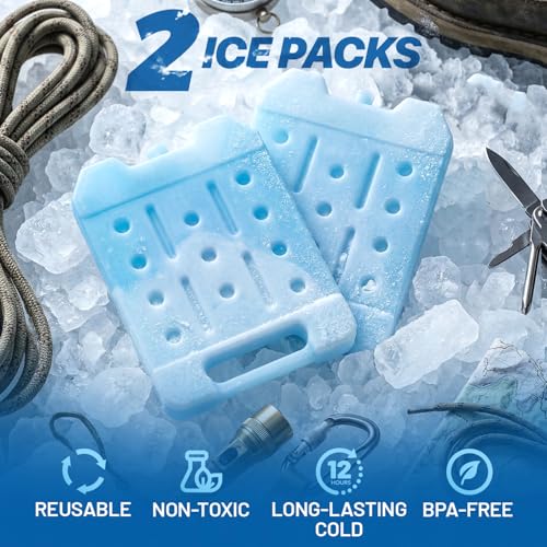 4 Pack Reusable Extra Large Ice Packs for Cooler, Long Lasting Freezer Packs for Camping, Beach, and Road Trips, Cooler Ice Packs BPA-Free Non-Toxic, 10.28"x 7.80" - size: Large 2-pack