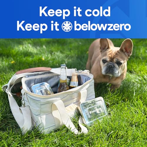 Below Zero Reusable Stainless Steel Ice Pack - size: 3-Pack
