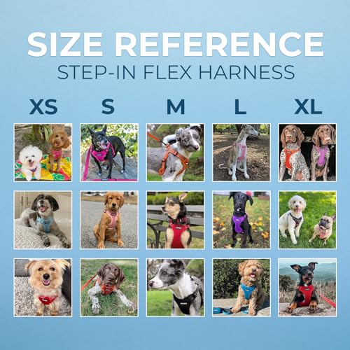 Voyager Step-in Flex Adjustable Dog Harness - Black, Medium - color: Harness (Black), size: M