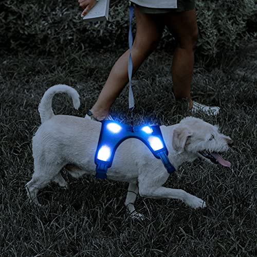 YFbrite Light Up Dog Harness - USB Rechargeable LED, Reflective, Comfortable Adjustable With Different Sizes (Blue, Small)