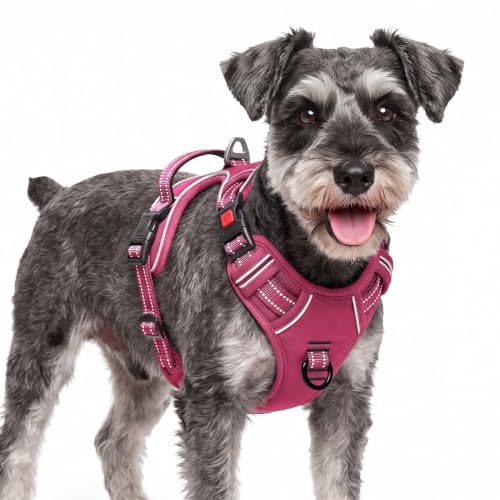 HEELE Dog Harness, Neck Release, No Pull Front Clip Vest, Reflective Rosy S - color: Lock Rosy, size: S (Pack of 1)