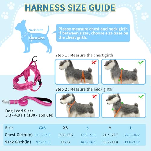 SlowTon No Pull Small Dog Harness and Leash Set with Front Clip - color: Fuchsia, size: X-Small