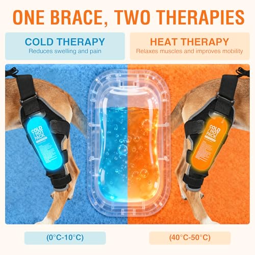 Dog Knee Brace L, Hind Leg Support with Hot & Cold Gel Pack - size: L