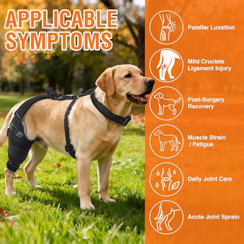 Dog Knee Brace XL, Hind Leg Support with Hot & Cold Gel Pack - size: XL