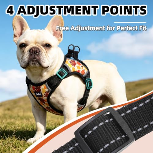 PUPTECK Fall Thanksgiving Dog Harness Small Sized Dog, Step in Adjustable Reflective Dog Vest Harness Escape Proof, No Pull Soft Padded Harness Easy Control, Yellow, M - color: Yellow(Turkey), size: M (CHEST: 14.5"-20")