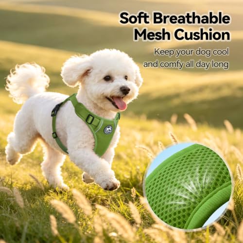 PoyPet Mesh Dog Harness, Reflective Breathable Puppy Vest for Small Dogs - color: Grass Green, size: XS