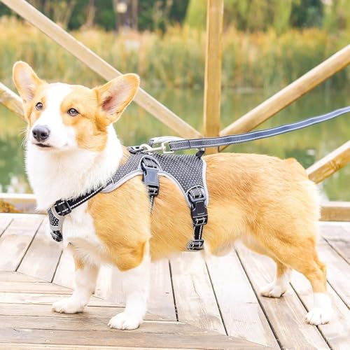 Escape Proof Dog Harness, No Escape No Pull Reflective Dog Harness with Durable Handle, Adjustable Heavy Duty Vest for Small Medium Large Dogs, Walking and Training (Black,XL) - color: Black, size: XL (Pack of 1)