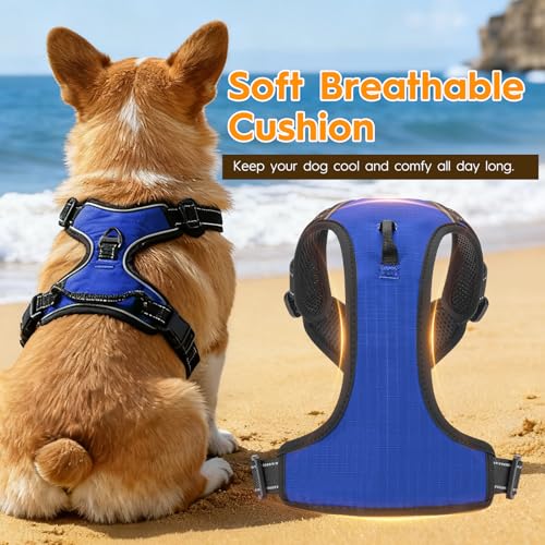 No Pull Dog Harness, No-Choke Soft Padded Reflective Dog Vest Harness with Front Clip & Top Handle, 2 Quick-Release Buckles, Adjustable for Small Medium Large Dogs - color: Dazzling Blue, size: X-Small