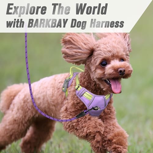 BARKBAY Dog Harness No Pull for Small Sized Dog Front Back Clips,Dog Vest - color: Violet Purple & Sunlight, size: X-Small(Chest:15.5-19.5”)