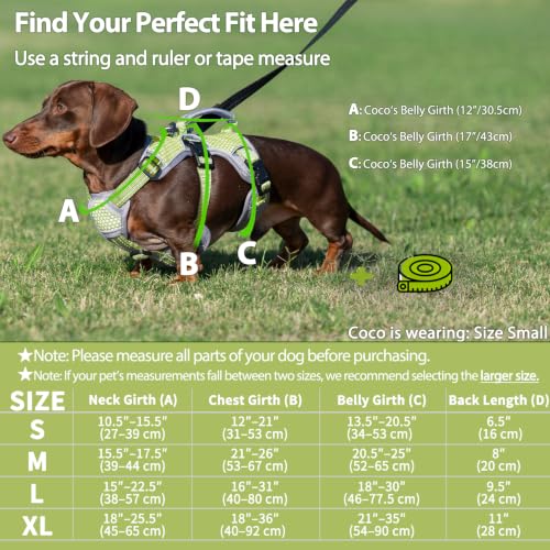 Huntboo Escape Proof Dog Harness, Dachshund Harness, Reflective Dog Harness with Handle, Durable,Adjustable Vest for Small Medium Large Dogs Walking, Training, and Running Gear (Green,S) - color: Green, size: Small(Pack of 1)