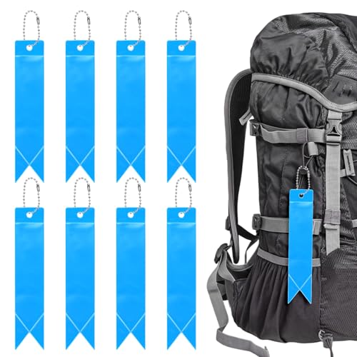 Safety Reflector Pendants - Reflective Safety Keychain Gear with Chain Use for Backpack & Running & Cycling - color: Lake Blue