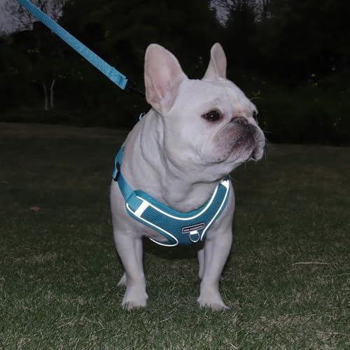 Dog Harness and Leash Set, Adjustable Triangle, Reflective Adjustable Puppy Vest, No Pull Soft Mesh Harness for Small, Medium Dogs, Cats (Turquoise, XL) - color: Turquoise, size: XL