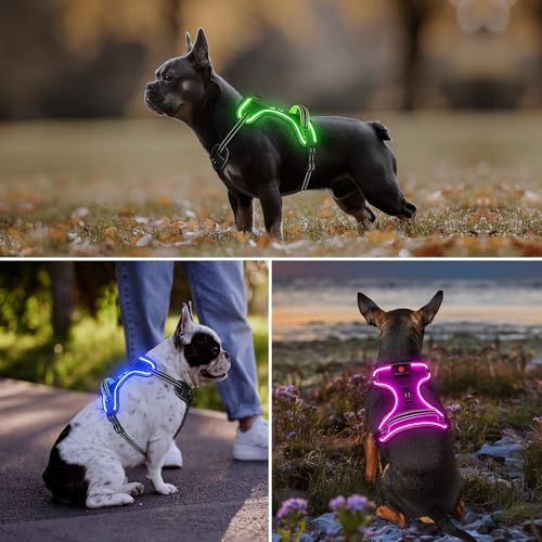 Light Up Dog Harness, Rechargeable LED Dog Vest for Night Walking - color: Purple-Pink, size: XS