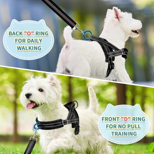 SlowTon No Pull Small Dog Harness and Leash Set with Front Clip - color: Black, size: Small