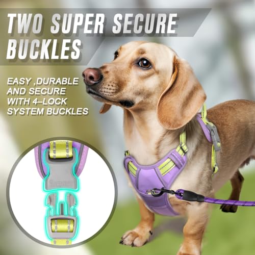 BARKBAY Dog Harness No Pull for Small Sized Dog Front Back Clips,Dog Vest - color: Violet Purple & Sunlight, size: X-Small(Chest:15.5-19.5”)