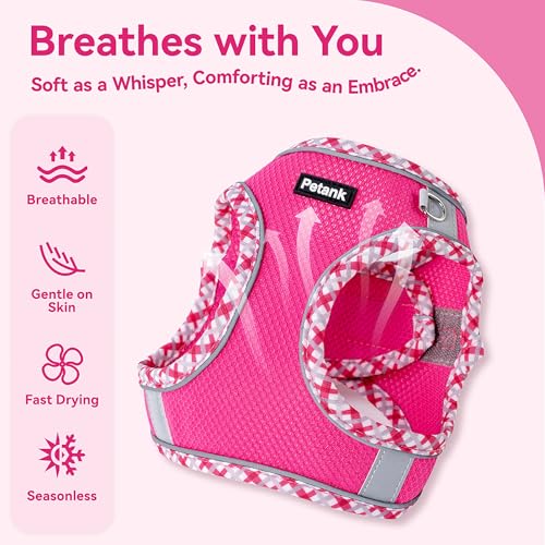 Petank Step in Dog Harness No Pull and Leash for Small Medium Dogs Cats. - color: Rose Red, size: XXS