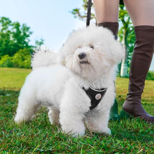 Hipubby Dog Harness and Leash Set, No Pull Soft Mesh Puppy Harness for Small Medium Dogs, Cats - Step in Adjustable Reflective Pet Harness with Buckle and Double D-Rings - Black, XS - color: Black, size: XS (Chest: 13.5"-15")