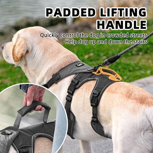 PUPTECK Escape Proof Dog Harness and Leash Set Upgraded No Pull Reflective Dog Vest with Lift Handle, Easy Control Pet Harness for Medium Large Dogs Training Walking Running - color: Grey/Black, size: Medium