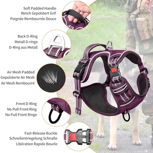 HEELE Harness Small Dog, No Pull No Choke Vest, Easy On & Off, Purple, S - color: Lock Purple, size: S (Pack of 1)