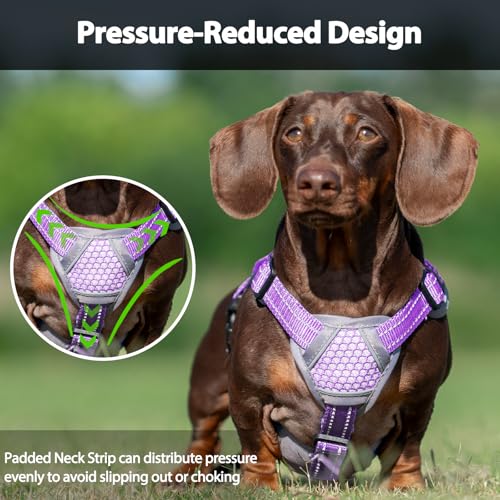 Huntboo Escape Proof Dog Harness, Dachshund Harness, Reflective Dog Harness with Handle, Durable,Adjustable Vest for Small Medium Large Dogs Walking, Training, and Running Gear (Lavender Purple,M) - color: Lavender Purple, size: Medium(Pack of 1)