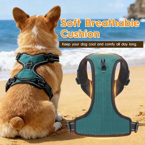 No Pull Dog Harness, No-Choke Soft Padded Reflective Dog Vest Harness with Front Clip & Top Handle, 2 Quick-Release Buckles, Adjustable for Small Medium Large Dogs - color: Glacial Teal, size: X-Small