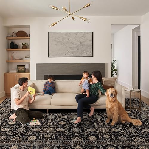 Ruaruarug Washable Area Rug 10×14 for Living Room, Ultra Soft, Black Gold - color: Black Gold, size: 10' x 14' (Rectangular)