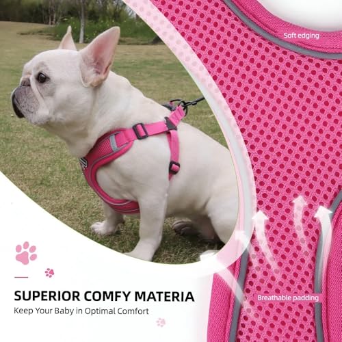 Dog Harness and Leash Set, Adjustable Triangle, Reflective Adjustable Puppy Vest, No Pull Soft Mesh Harness for Small, Medium Dogs, Cats (Fuchsia, S) - color: Fuchsia, size: S