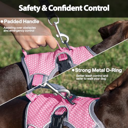 Huntboo Escape Proof Dog Harness, Dachshund Harness, Reflective Dog Harness with Handle, Durable,Adjustable Vest for Small Medium Large Dogs Walking, Training, and Running Gear (Pink,S) - color: Pink, size: Small(Pack of 1)