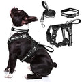 WINSEE Pet Harness Collar and Leash Set, All-in-one Reflective Dog Harness No Pull with Adjustable Buckles for Puppies, Small, Medium, Large, and Extra-Large Dogs (Medium, Black) - color: Black, size: Medium