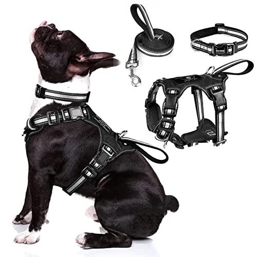 WINSEE Pet Harness Collar and Leash Set, All-in-one Reflective Dog Harness No Pull with Adjustable Buckles for Puppies, Small, Medium, Large, and Extra-Large Dogs (Medium, Black) - color: Black, size: Medium