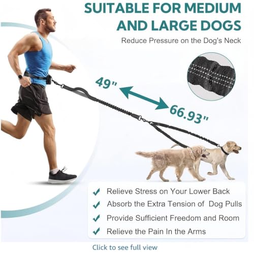 Hands Free Dog Leash,Dog Leashes for Medium Dogs,No Tangle - size: Medium