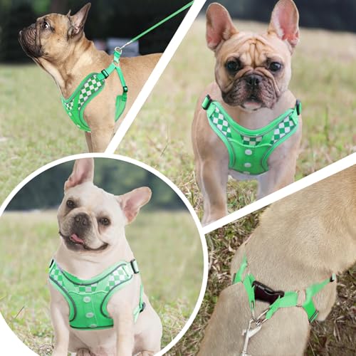 Dog Harness with Leash Set, No Pull Adjustable Step in Pet Vest - color: Green (denim), size: Medium
