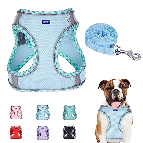 Step in Mesh Dog Harness and Leash Set Breathable Air Mesh Harness - color: Blue, size: XXS(neck:8.5"-9.5",chest:10"-11.5")