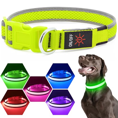 Flashseen LED Dog Collar, Light Up Dog Collar USB Rechargeable, Green, M - color: Green, size: Medium